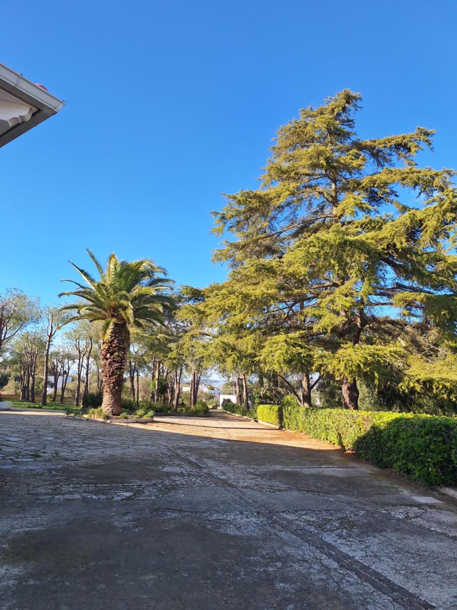 Holiday Home Trullo Antico Ostuni Esterno foto